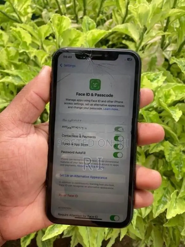 Apple iPhone XR 64GB (Used)