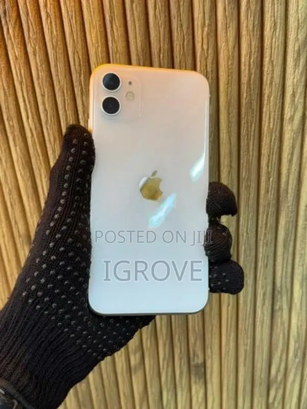 Apple iPhone 11 256GB (Used)