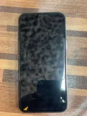 Apple iPhone 12 Pro Max 256GB (Used)