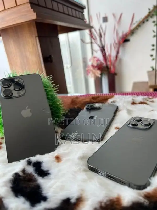 Apple iPhone 13 Pro 256GB (Used)