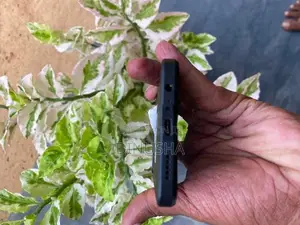 Honor X5b 4/64 (Used)