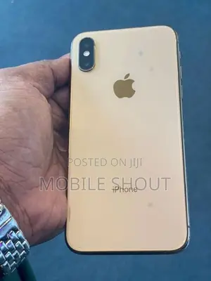 Apple iPhone XS 256GB (Used)