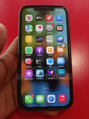 Apple iPhone 12 Pro (Used)