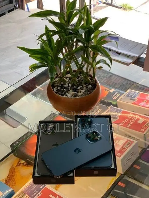 Apple iPhone 12 Pro Max 256GB LLA (Used)