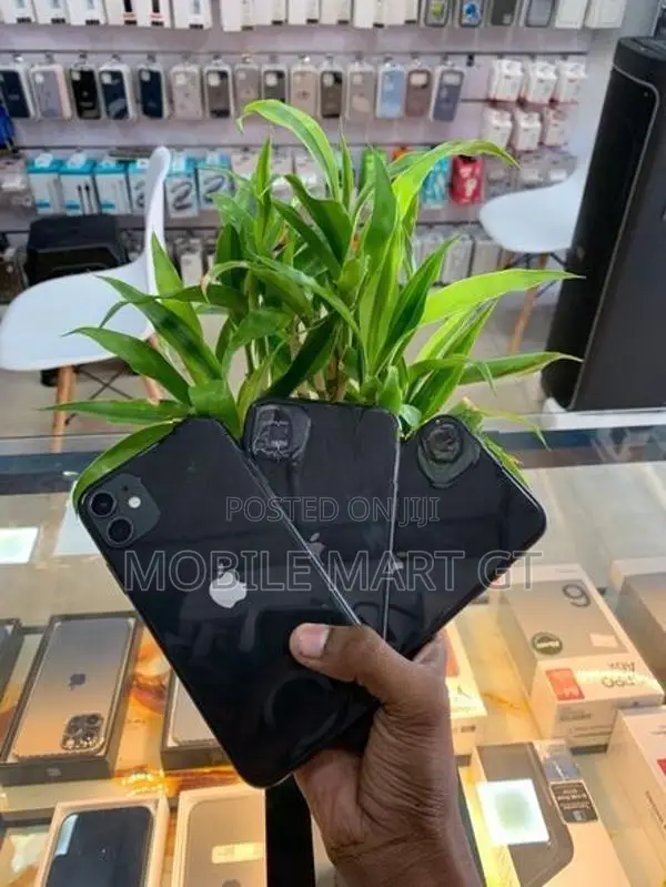 Apple iPhone 11 128GB (Used)