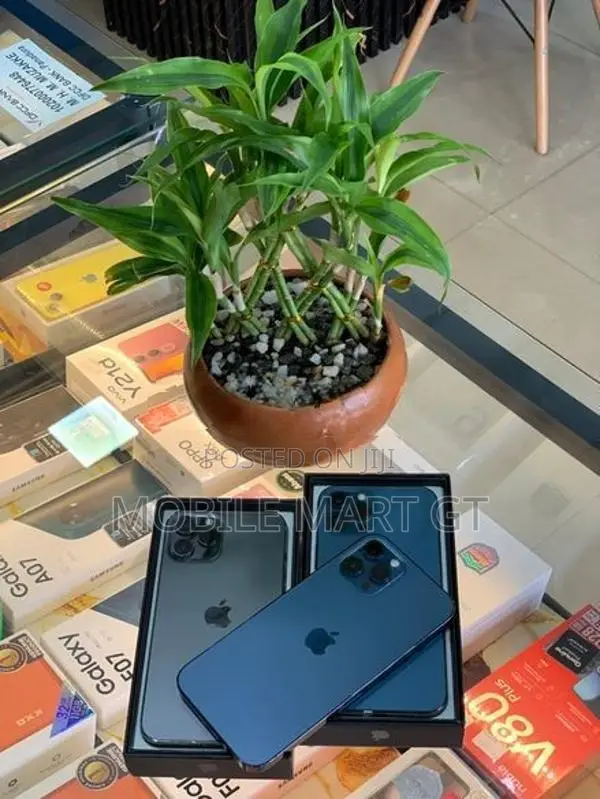 Apple iPhone 12 Pro Max 256GB LLA (Used)