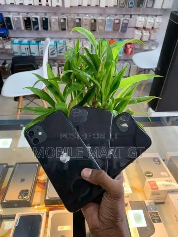 Apple iPhone 11 128GB (Used)