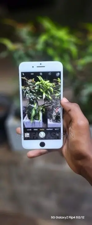 Apple iPhone 7 Plus (Used)
