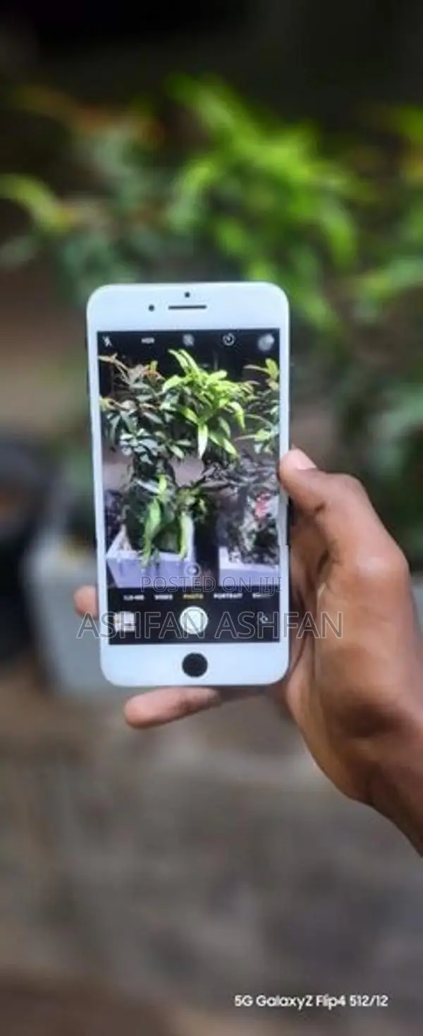 Apple iPhone 7 Plus (Used)