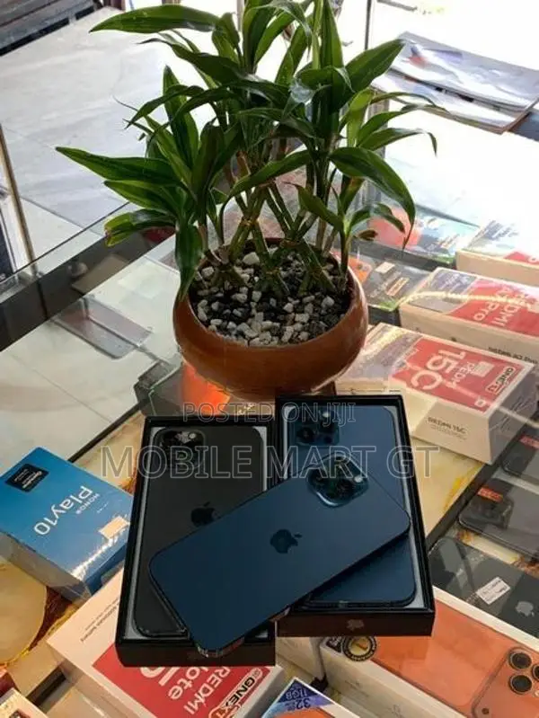 Apple iPhone 12 Pro Max 256GB LLA (Used)