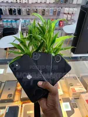 Apple iPhone 11 128GB (Used)