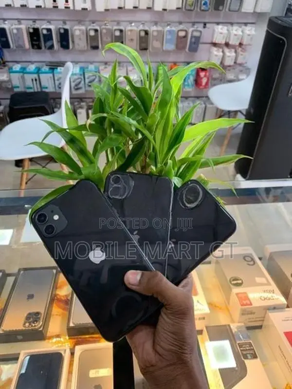 Apple iPhone 11 128GB (Used)