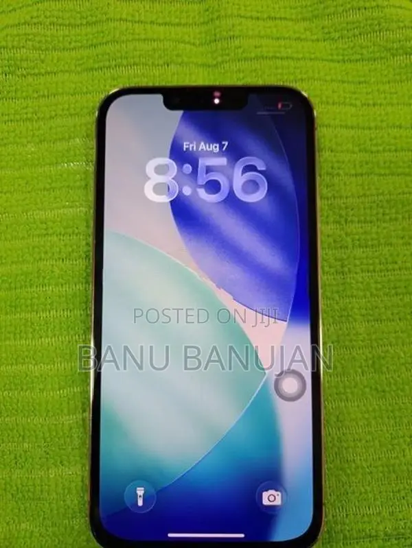 Apple iPhone 13 Pro (Used)