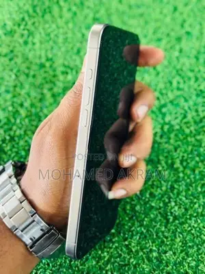 Apple iPhone 15 Pro Max (Used)