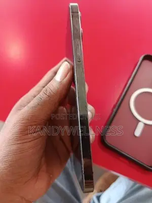 Apple iPhone 12 Pro (Used)
