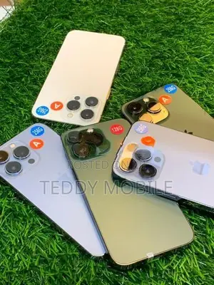 Apple iPhone 13 Pro 256GB (Used)