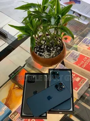 Apple iPhone 12 Pro Max 256GB LLA (Used)