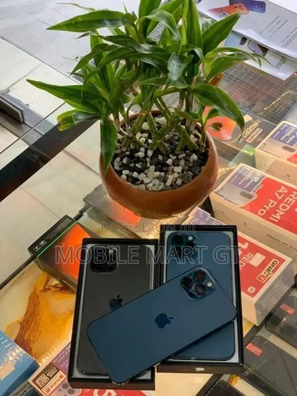 Apple iPhone 12 Pro Max 256GB LLA (Used)