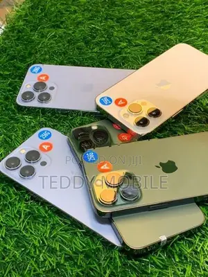 Apple iPhone 13 Pro 256GB (Used)
