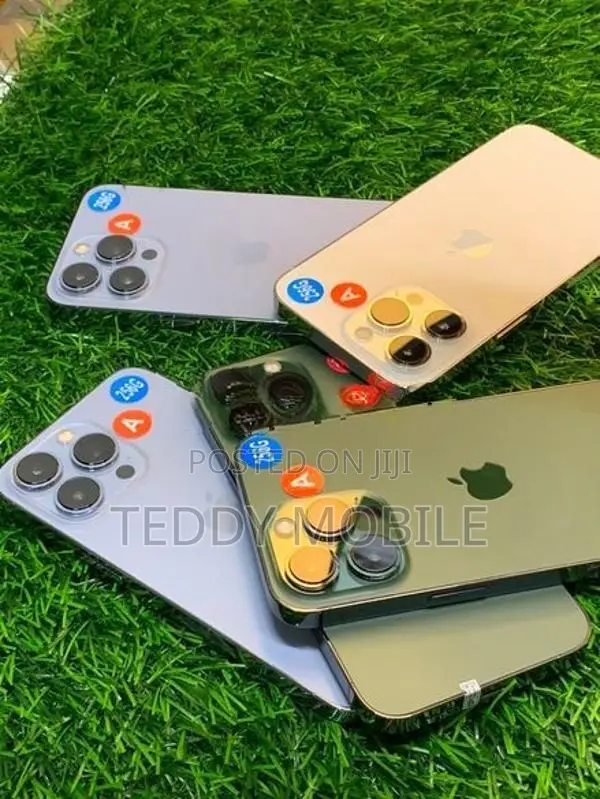 Apple iPhone 13 Pro 256GB (Used)