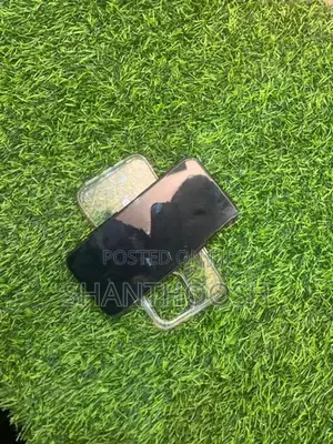 Apple iPhone 15 Pro Max (Used)