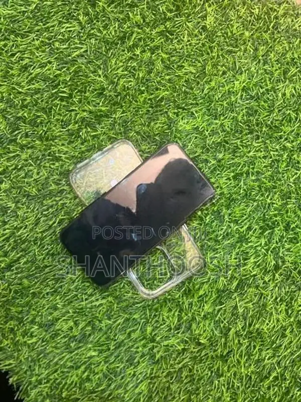 Apple iPhone 15 Pro Max (Used)