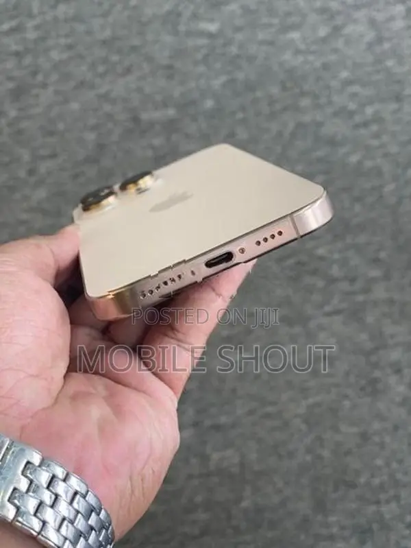 Apple iPhone 16 Pro Max (Used)