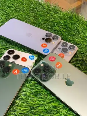 Apple iPhone 13 Pro 256GB (Used)