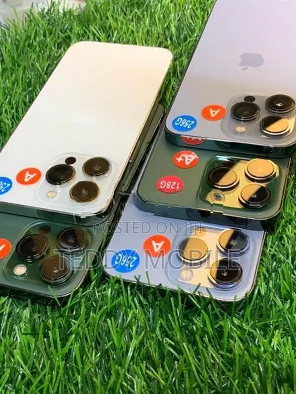 Apple iPhone 13 Pro 256GB (Used)