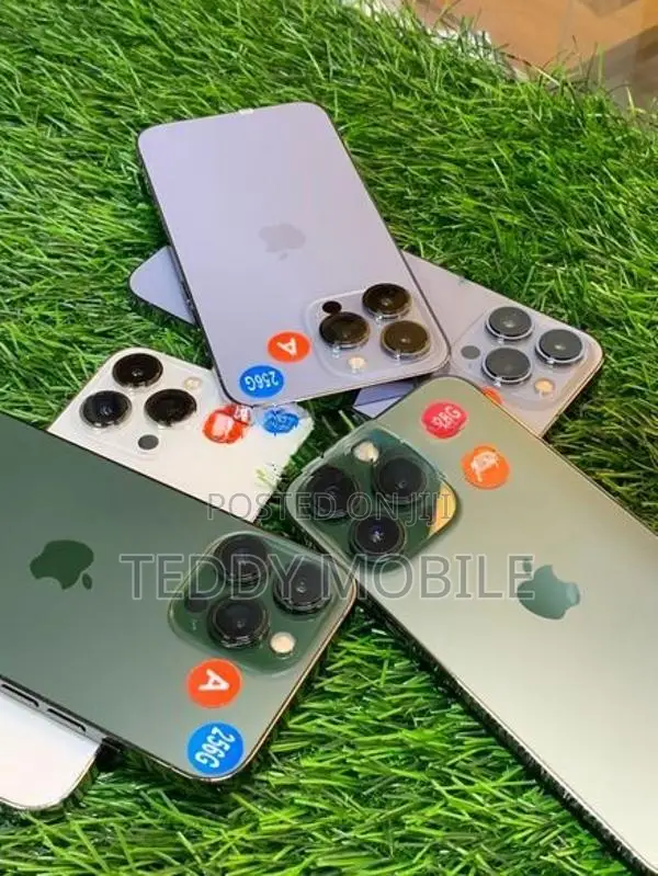 Apple iPhone 13 Pro 256GB (Used)