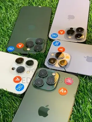Apple iPhone 13 Pro 256GB (Used)