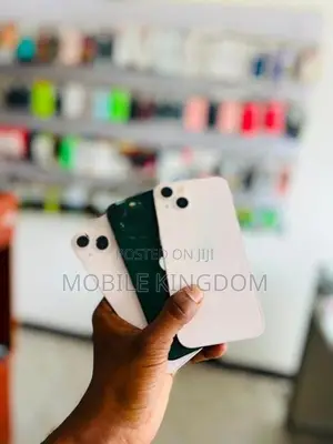 Apple iPhone 13 128GB (Used)