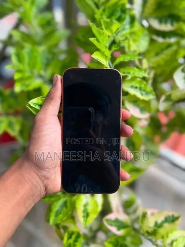 Apple iPhone 17 Pro (Used)