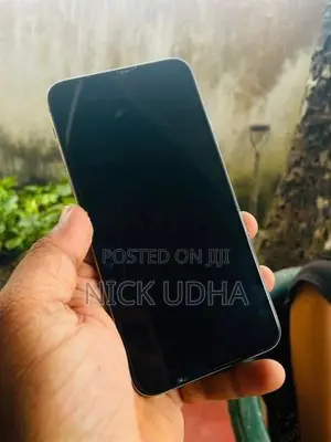 Apple iPhone 11 Pro Max 256GB 🍎 (Used)