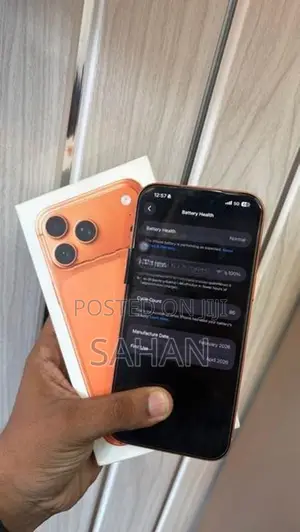 Apple iPhone 17 Pro Max 256 GB (Used)
