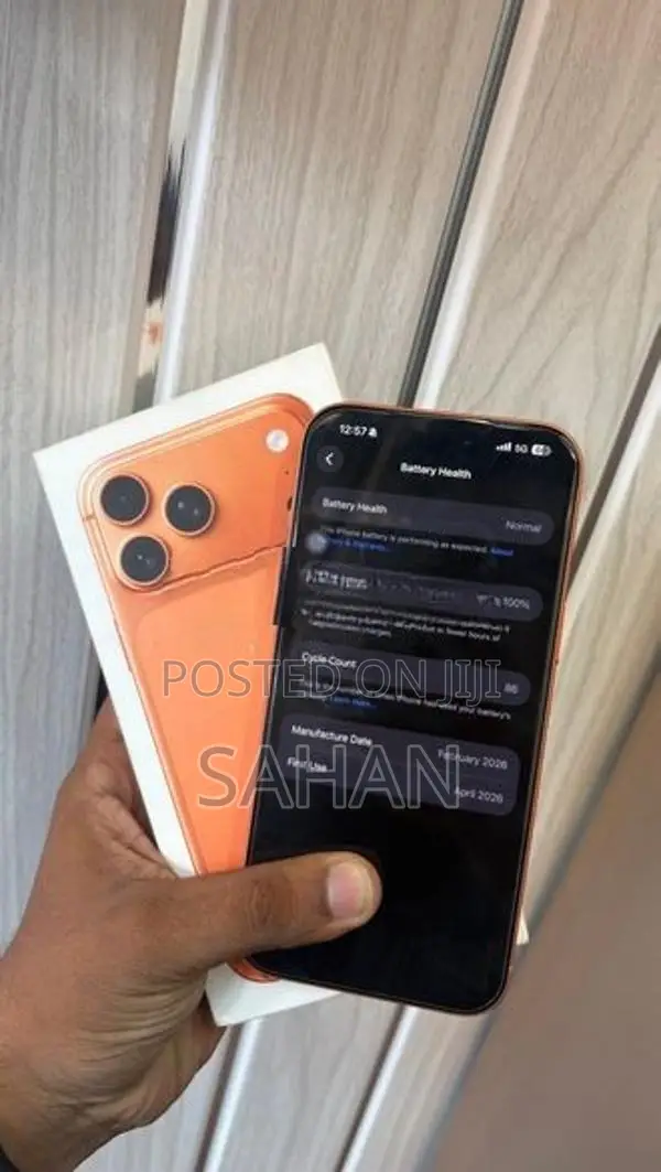 Apple iPhone 17 Pro Max 256 GB (Used)