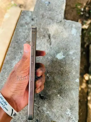 Apple iPhone 16 Pro Max (Used)