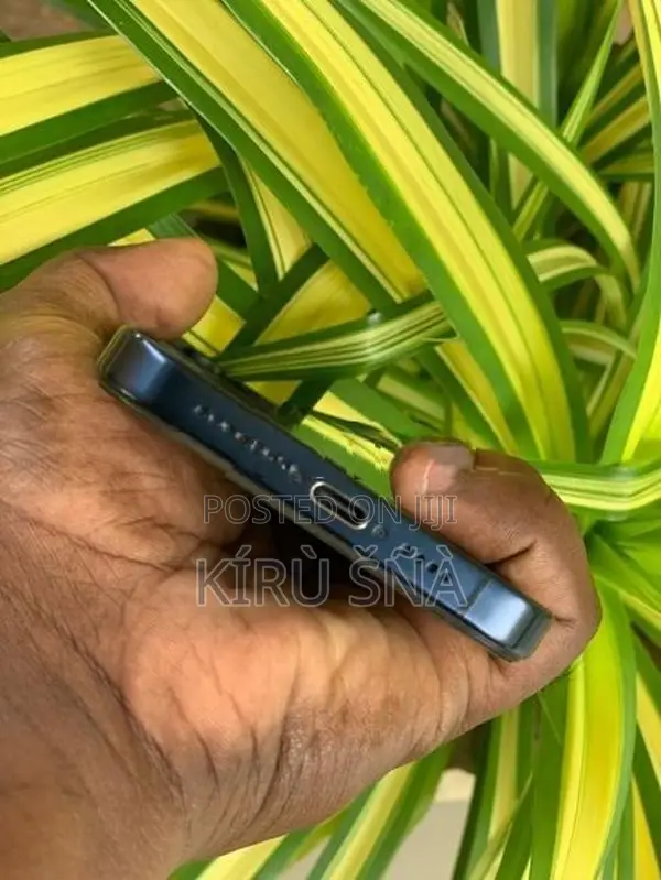 Apple iPhone 15 Pro Max (Used)