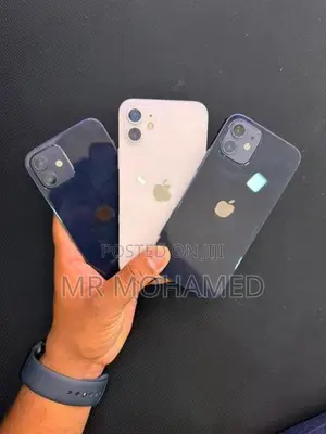 Apple iPhone 12 (Used)