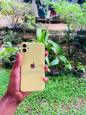 Apple iPhone 11 (Used)