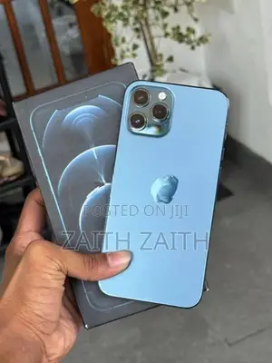 Apple iPhone 12 Pro Max (Used)