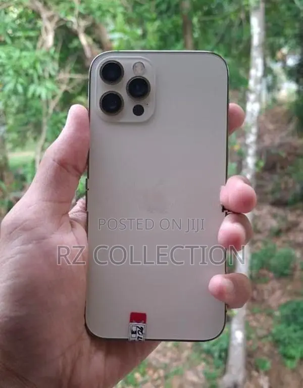 Apple iPhone 12 Pro (Used)