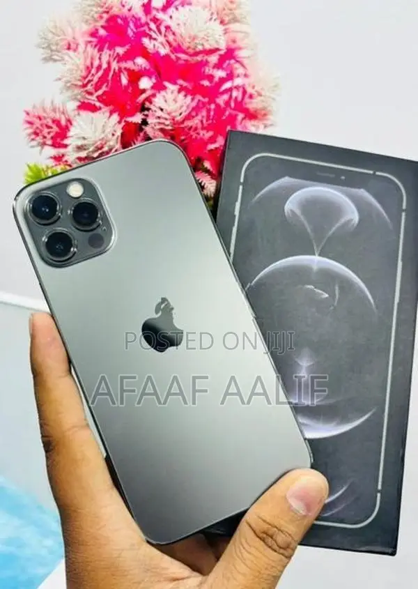 Apple iPhone 12 Pro 256GB (Used)