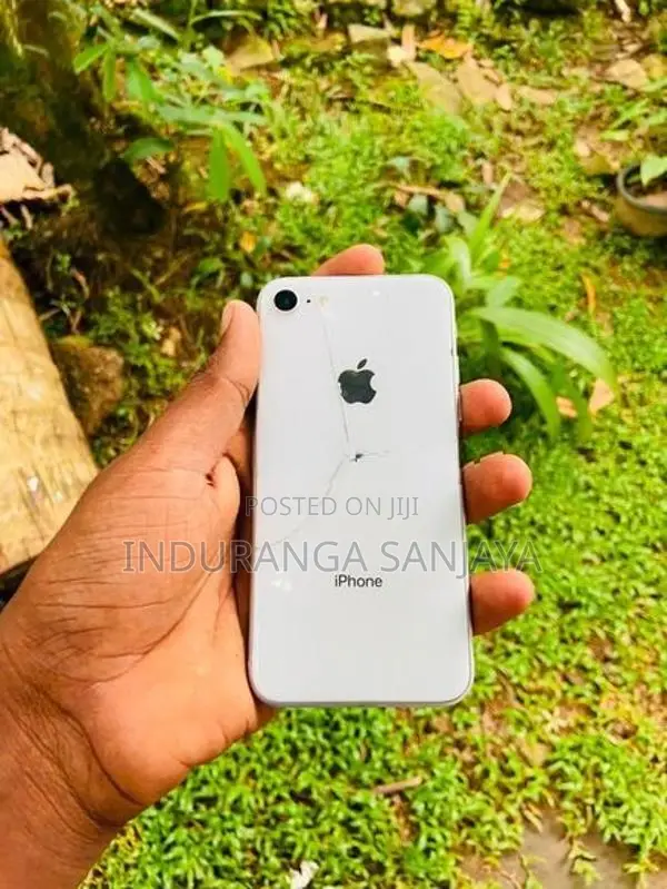 Apple iPhone 8 (Used)