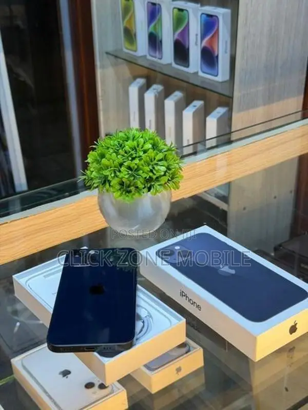 Apple iPhone 13 256GB (Used)