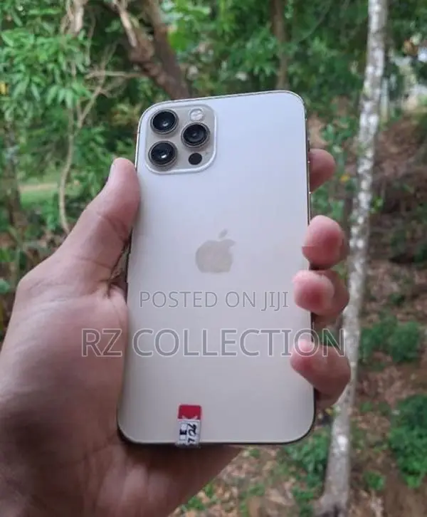 Apple iPhone 12 Pro (Used)