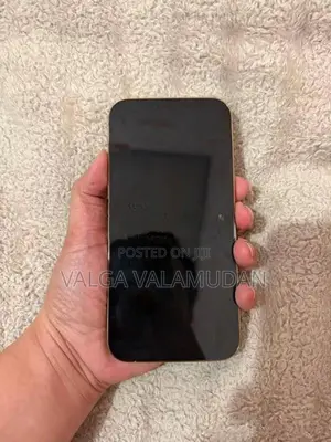 Apple iPhone 13 Pro Max 2026 (Used)