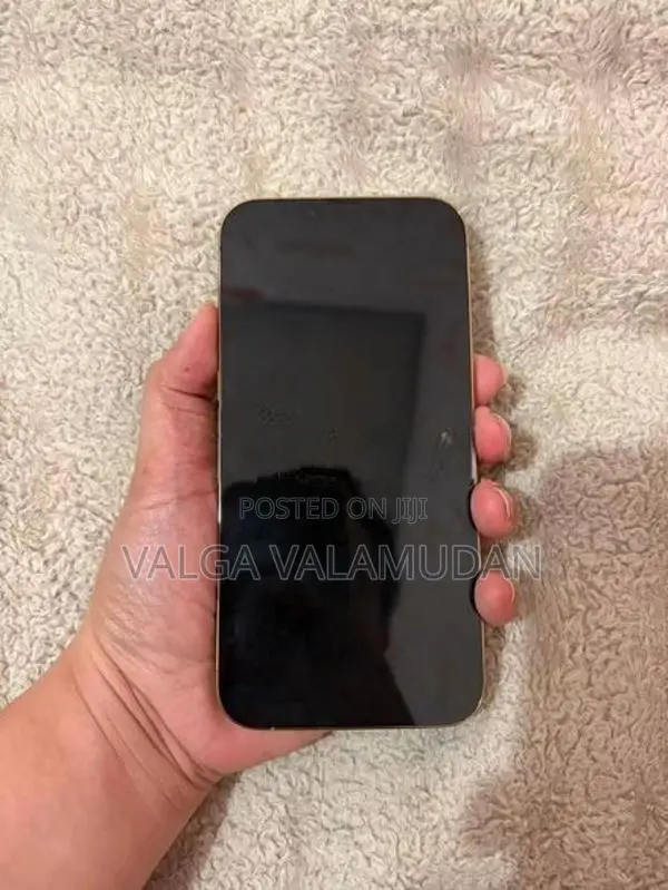 Apple iPhone 13 Pro Max 2026 (Used)