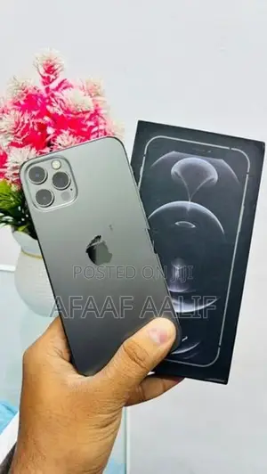 Apple iPhone 12 Pro 256GB (Used)