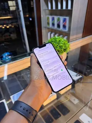 Apple iPhone 13 Pro (Used)